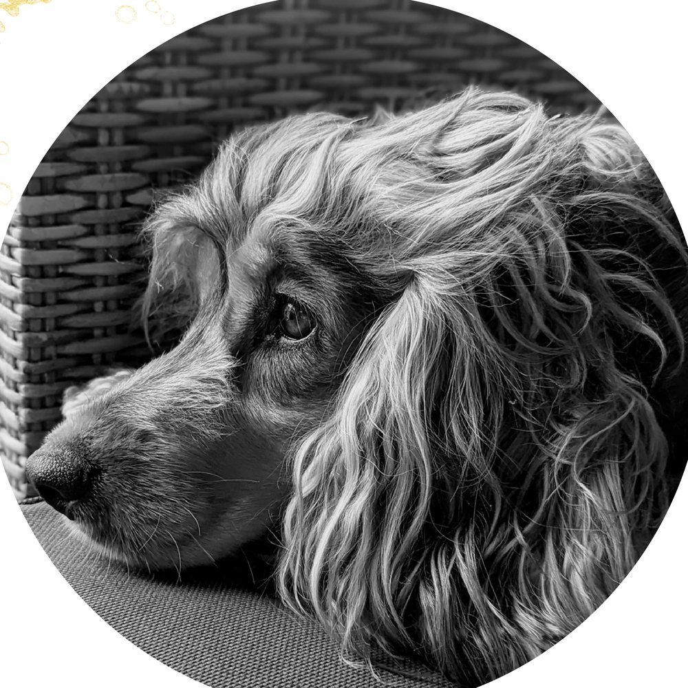 Black-and-white photo of Artie resting her chin on a wicker chair, looking pensive.